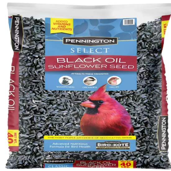 Pennington Select Black Oil Sunflower Seed Dry Wild Bird Feed, 40 lb. Bag, 1 Pac