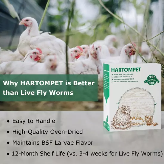 Dried BSF Larvae for Chickens - Non-GMO Poultry Feed Supplement, 85X More Cal...