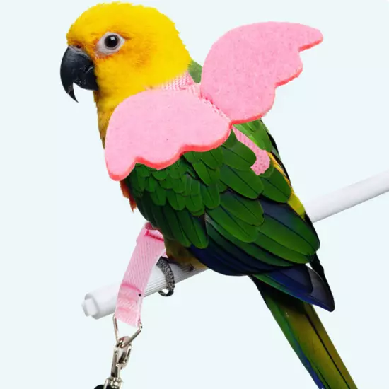 Bird Harness Leash Set Parrot Flying Rope Straps Outdoor Training for Cockatielಇ