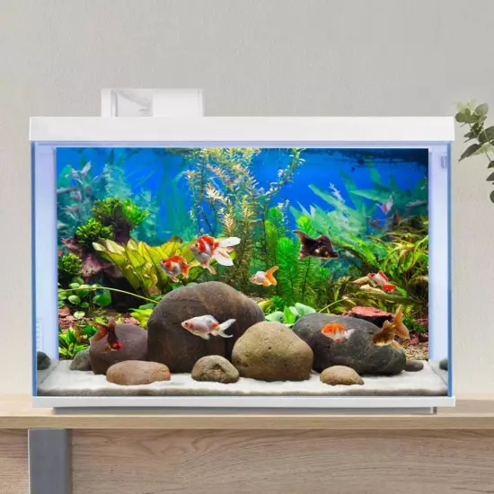 48X24 Inches Aquarium Background Aquatic Plant River Bed & Lake Fish Tank Backgr