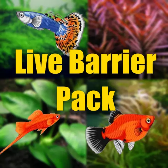 Live Barrier Aquarium plant package perfect for live Barrier Fish