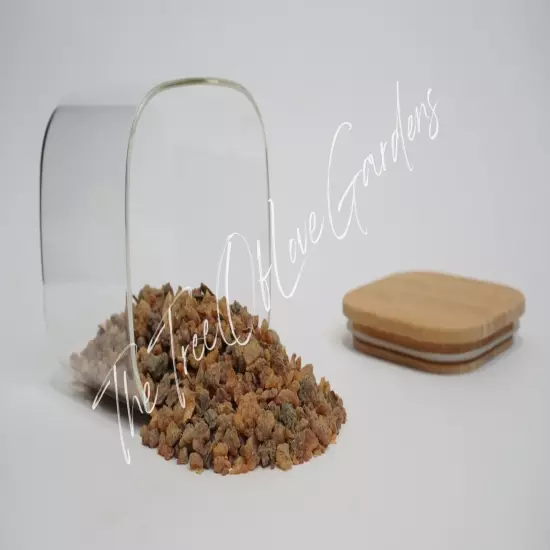 Myrrh Resin | Potent | Grade A ++ | Commiphora Myrrha