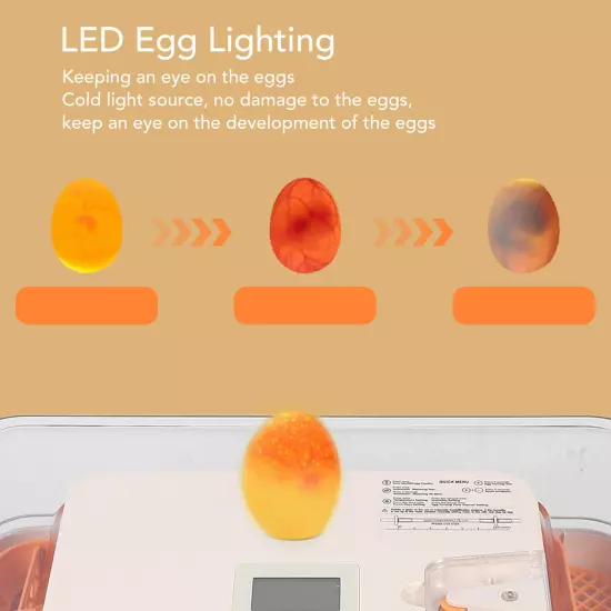 Dual Control Egg Incubator Temperature and Humidity Automatic Incubator for