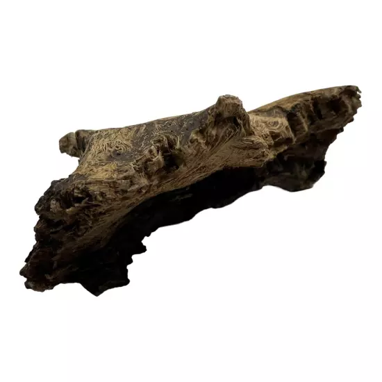 Missouri Ozark Area Driftwood Decor For Aquarium 8½"×5"×3" Swirl Wood Pattern 