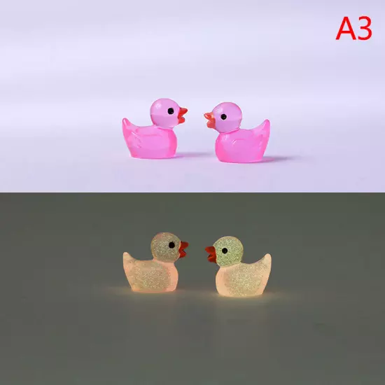 10PCS Mini Luminous Resin Ducks Glow in The Dark Miniature Ornament Tiny Duck Sn