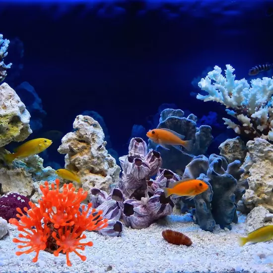 Artificial Coral Reef Resin Aquarium Plant Fish Tank Landscape Home Orname T7N7