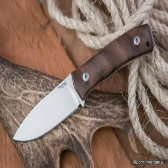 LionSteel M4 Bushcraft Knife M390 Steel Walnut Wood Handle Superb Quality