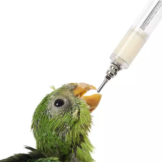 2 Sets Hand Feeding Syringe for Birds,Feeding Tubes Used for Pet Baby Bird Parro