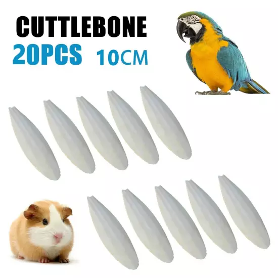 10-20X Large 10CM 3.94" Cuttlebone For Bird Parrots Cuddle Bone W/Box Cuttlebone