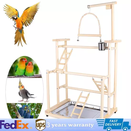 Pet Parrot Playstand Parrots Bird Playground Bird Play Stand Wood Perch Gym Play