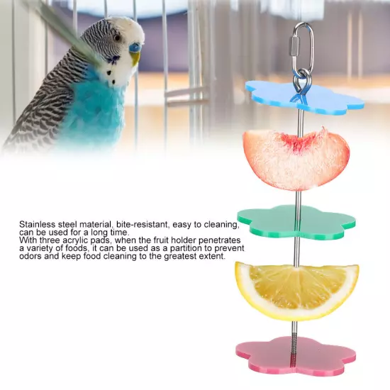 Multifunction Stainless Steel Parrot Cage Fruit Holder Corn Stick Skewer Feed