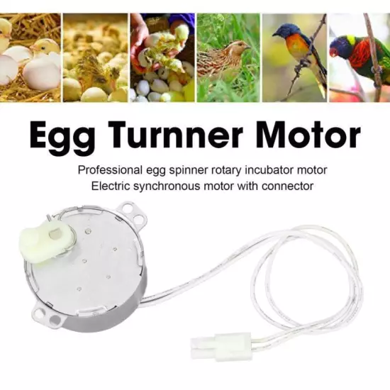 Egg Turner Motor 4W 100V to 120V Rotating Incubator Motor for Chickens