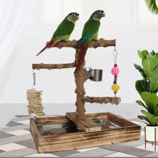 Parrot Playstand Bird Playground Perch Gym Training Stand Toys with Feeder Cup