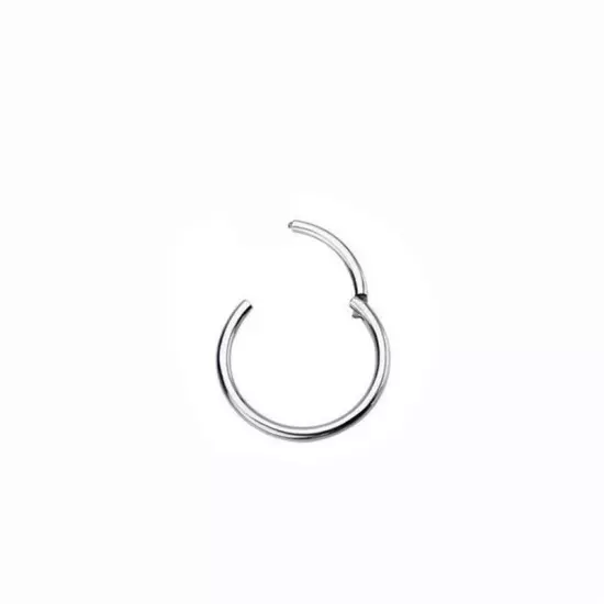 Surgical Steel Hinged Segment Hoop Ring Sleeper Lip Ear Nose Body Piercing 1PC