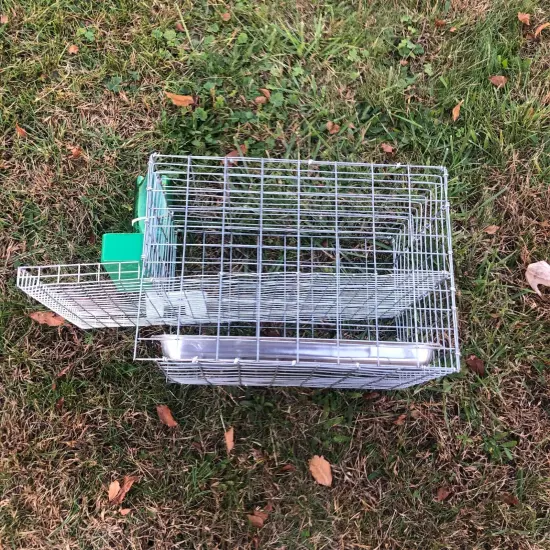 Quail Coturnix Laying Bird Breeding Cage W/ Egg Roll Out, Feeder, Drinker, Tray