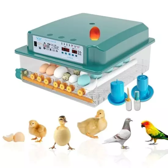 16 Eggs Incubator Digital Automatic Turner Hatcher Chicken Temperature Control