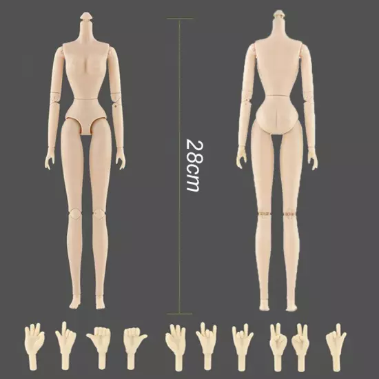 1/6 Dolls Accessories 28 Jointed Body for 11.5" Doll Movable Nude BJD Doll Body