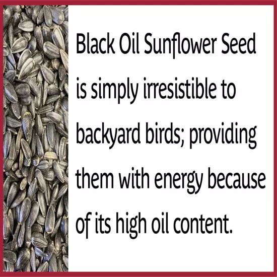 Select Black Oil Sunflower Seed Dry Wild Bird Feed and seed 40 Lb. Bags 2 Pack