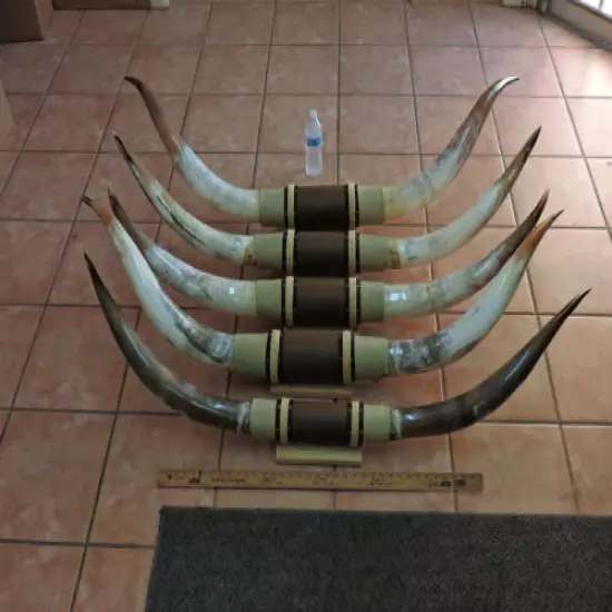 MOUNTED STEER HORNS 4'6" - 5' TIP TO TIP (1 SET) COW BULL HORNS LONGHORNS 