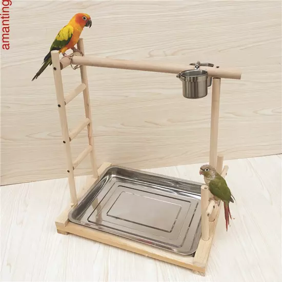 Parrot Wood Stand Game Playing Stick Frame Stick Frame Bird Training Tree Toy 