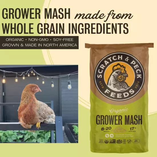 Organic Grower Mash Chicken Feed - 25-lbs - 17% Protein, Non-GMO Project Veri...