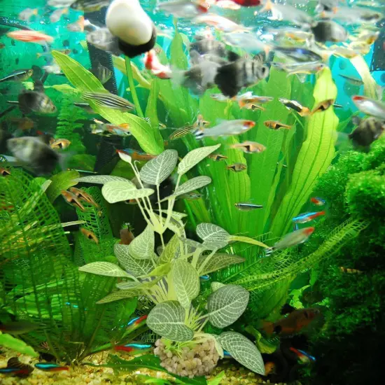 Artificial Fake Plastic Water Grass Plants For FishTank Ornaments Aquarium Y8M1