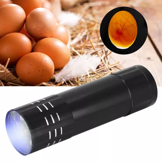 Egg Incubator Tester Candling Lamp 9 Light Bright Cold Hatching Poultry