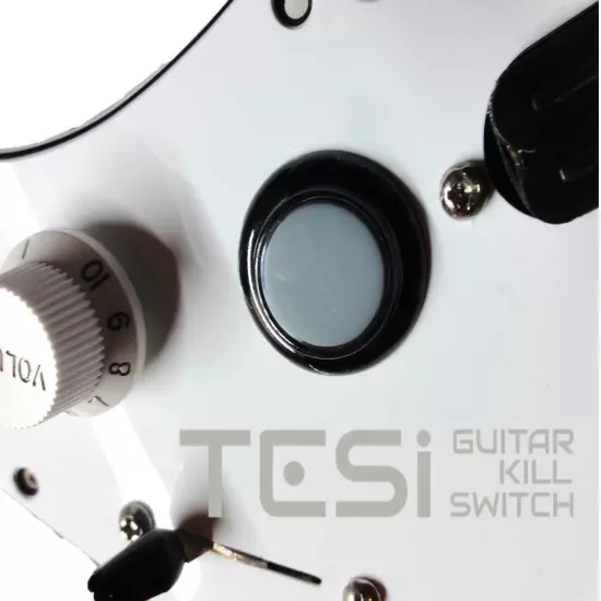 Tesi Switch DITO 24mm Arcade Button Guitar Kill Switch - 25 Colors Available!