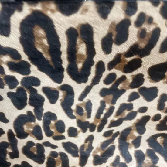 HUGE! Large Kate Spade $1295 Crown Point Garcia Leopard Purse Bag SOLD OUT