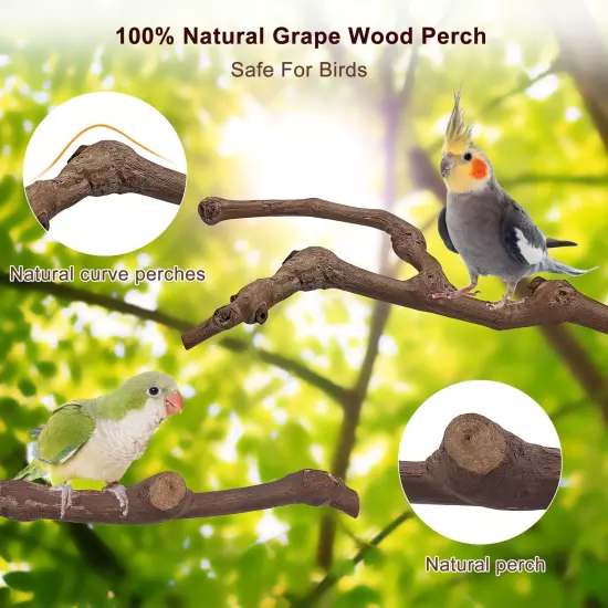 Mogoko 5PCS Bird Perch Natural Wood Grape Stick Bird Stand 3 Grape Stick Paw ...