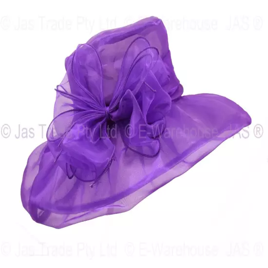 Spring Race Carnival Derby Day Church Wedding Women Ladies Organza Evening Hat