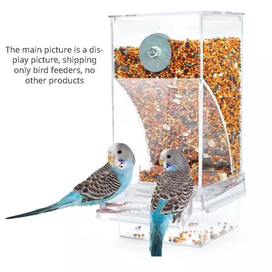 2 PCS Bird Feeders Bird Feeding Cage Transparent Parakeet Seed Container5155