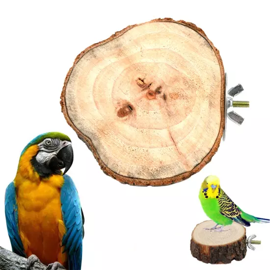 Round Wooden Squirrel Parrot Bird Perch Stand Platform Pet Bird Squirrel Chinchi