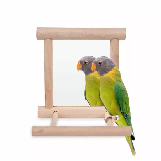 Bird Toy Cage Swing Chewing Wooden Mirror for Parrot Parakeet Conure Cockatiel