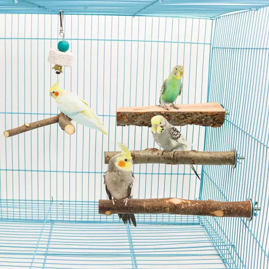 4 Pack Natural Wood Bird Perch for Bird Cages,Parrot Stand Perch Platform Exerci