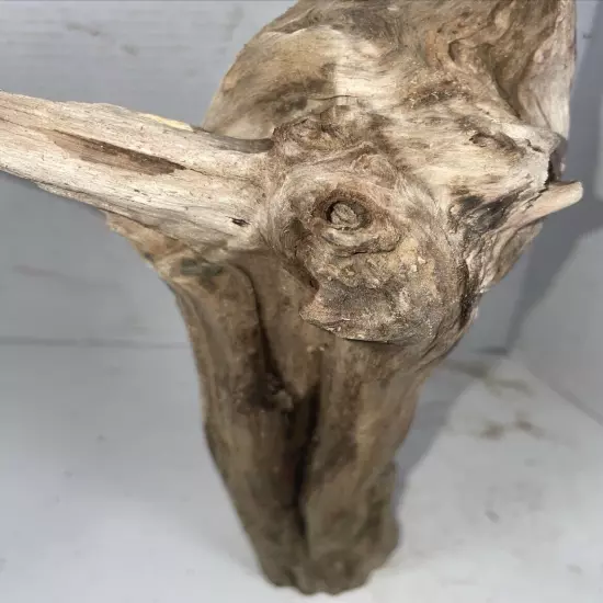 Driftwood Taxidermy Beach Lake Mountain House Wedding Reception