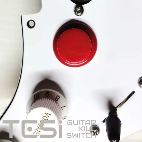 Tesi Switch DITO 24mm Arcade Button Guitar Kill Switch - 25 Colors Available!