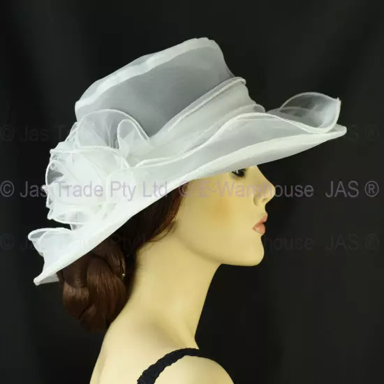 Spring Race Carnival Derby Day Church Wedding Women Ladies Organza Evening Hat