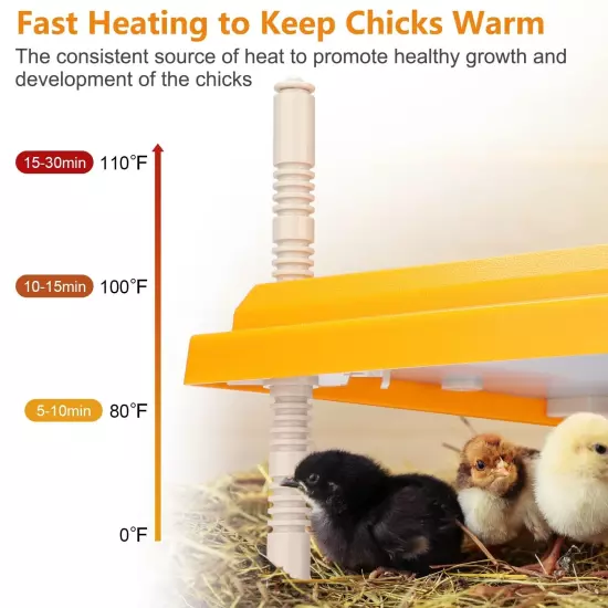 Brooder Heater for Chicks, 10" x 10" Thermostatically Controlled Brooder Heat...