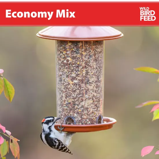 Economy Mix Wild Bird Feed, Dry, 1 Count per Pack, 10 Lb. Bag