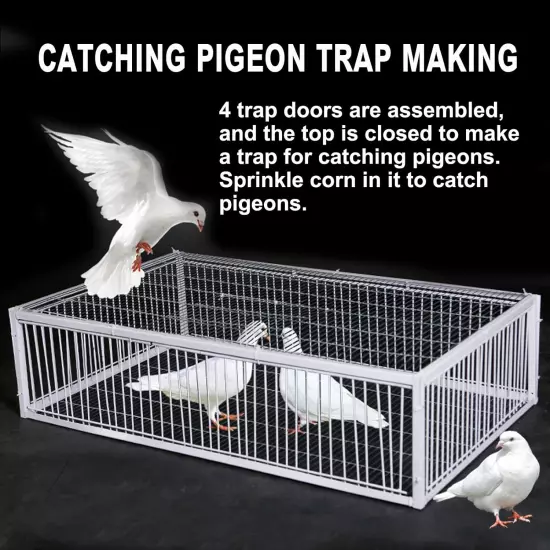 Pigeon Loft Door Pigeon Entrance Door Trap Door Pigeon House Door Racing Supplie