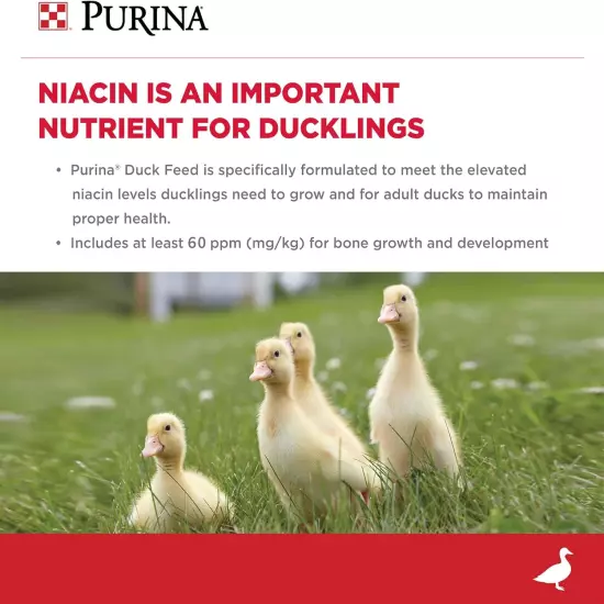 Purina | Nutritionally Complete Duck Feed for All Life-Stages | 5 Pound (5 Lb.) 