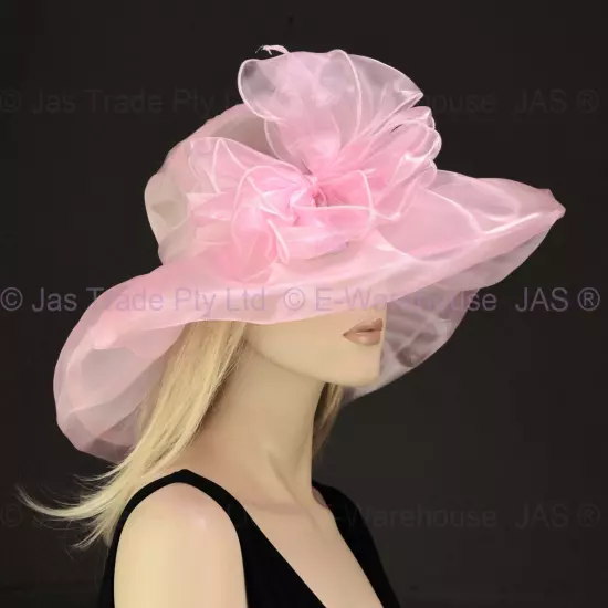 Spring Race Carnival Derby Day Church Wedding Women Ladies Organza Evening Hat