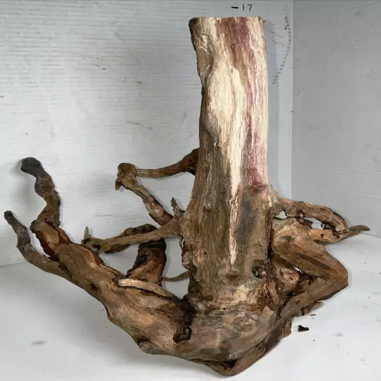 Driftwood Root Taxidermy Beach Lake Mountain Wedding Centerpiece Shower