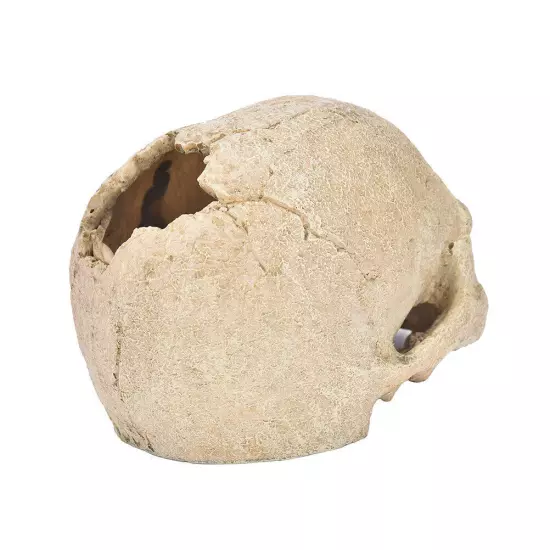 Artificial Fake Skull Head Bone Aquarium Ornament Fish Tank Decoration