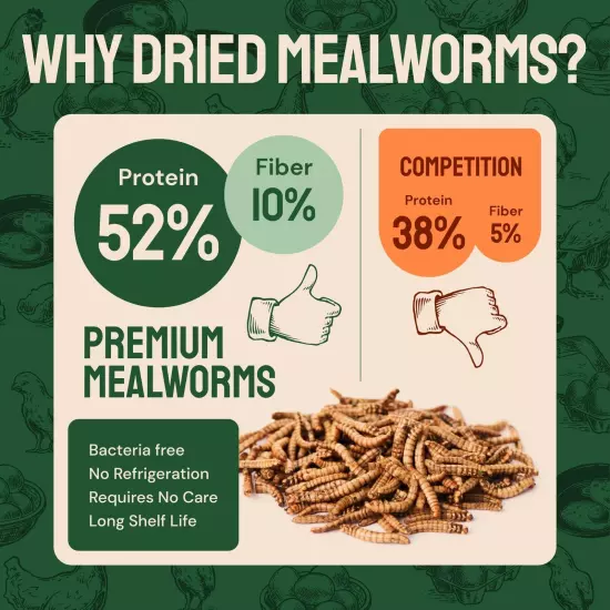 Bulk Dried Mealworms 8 lbs – Premium Organic Non-GMO Dried Mealworms for C