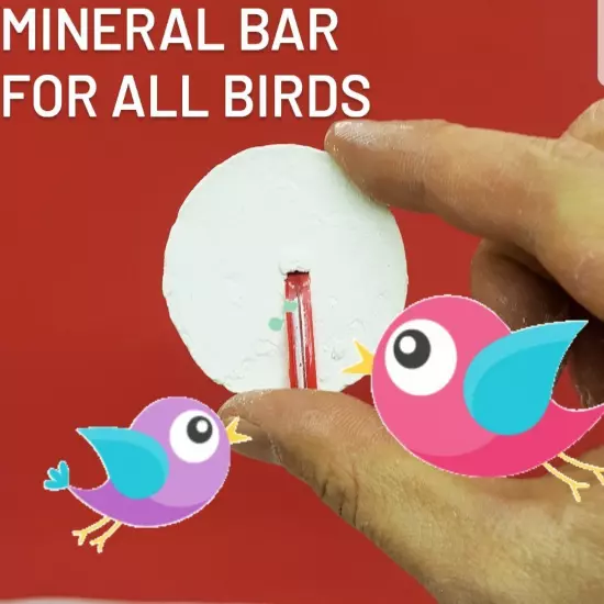 Mineral Calcium Block Bar Stone for All Birds Health Choose Size & How Many!!!!!