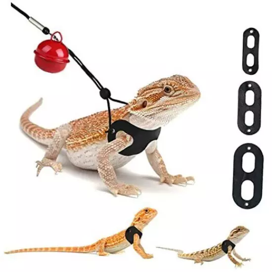 3 Packs Bearded Dragon Harness and Leash Adjustable(S,M,L) - Soft Leather black