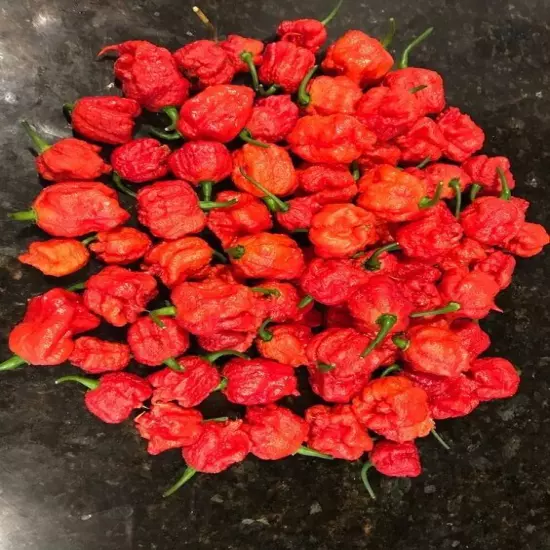 Whole Dried Carolina Reaper Pepper Pods World Hottest Best Quality Organic