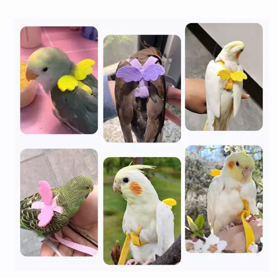 Bird Harness Leash Set Parrot Flying Rope Straps Outdoor Training for Cockatiel